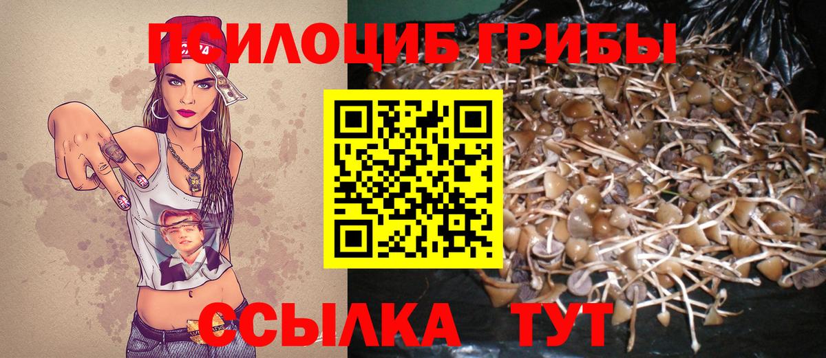 Псилоцибиновые грибы ЛСД Будённовск